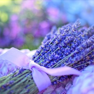 lavenders flowers bouquet.jpg