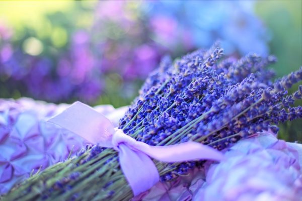 lavenders flowers bouquet.jpg