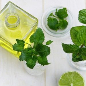 Essential oil infused with mint