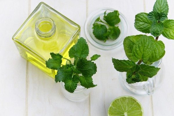 Essential oil infused with mint